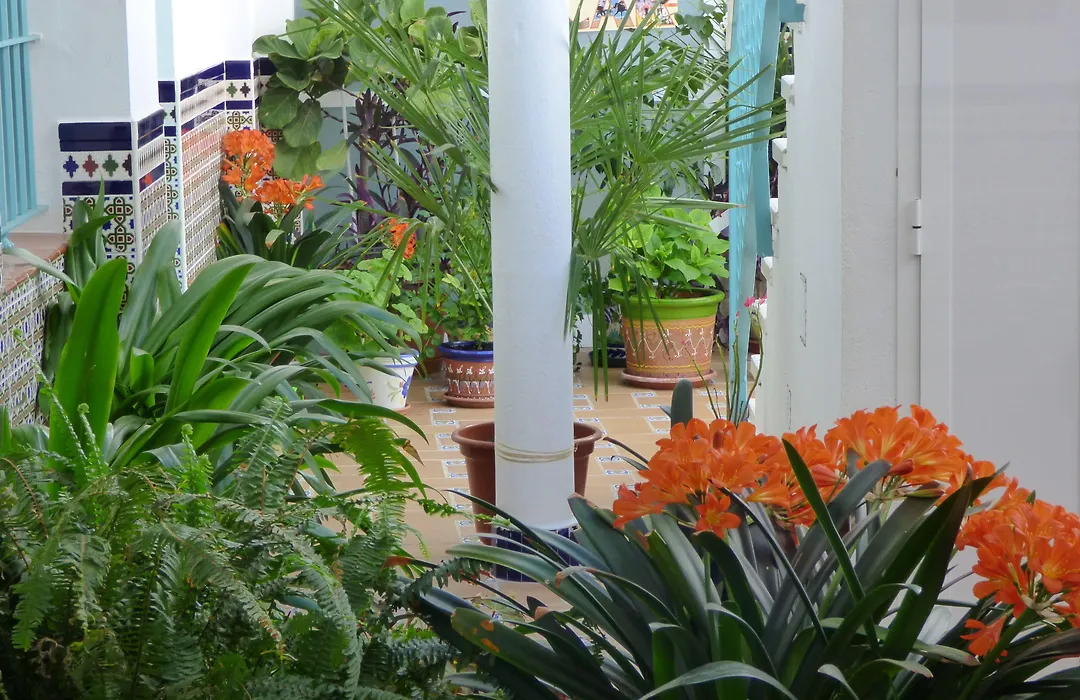 Hostal Campo Nuevo-1